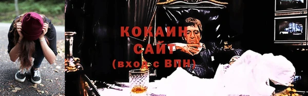 кокс Арсеньев