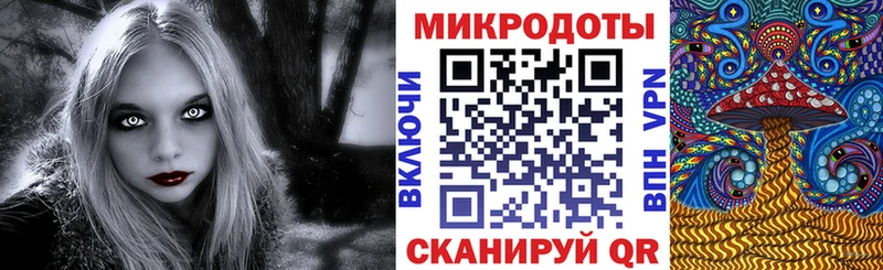 Галлюциногенные грибы Psilocybine cubensis  Суздаль 