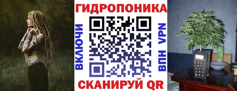 как найти наркотики  Суздаль  Бошки марихуана индика 